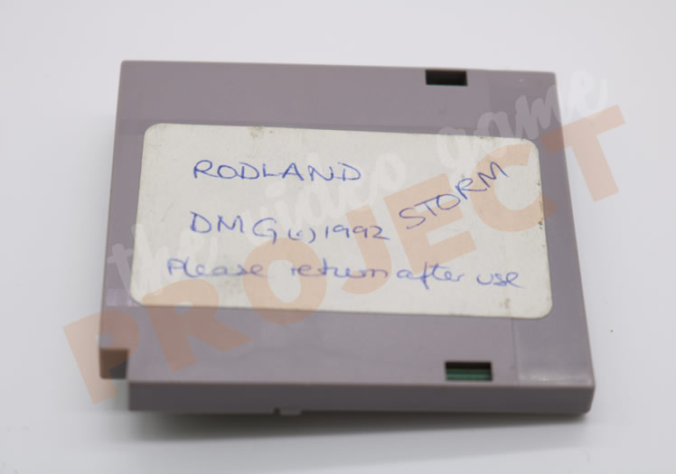 Rodland - Game Boy - Back